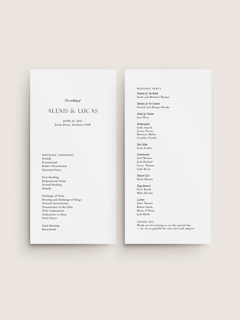 NARRATIVE / Panel Program