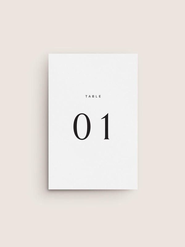 NARRATIVE / Table Number 03