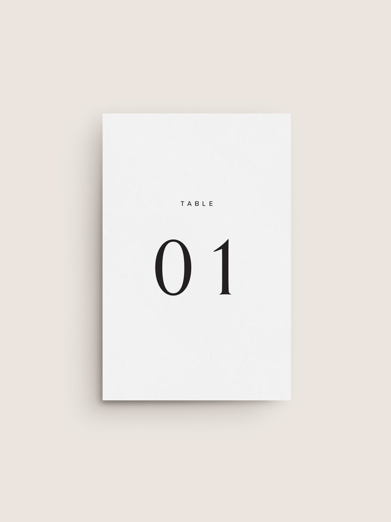 NARRATIVE / Table Number 03